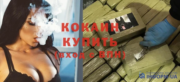 сатива Дмитриев