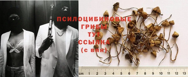 экстази Ессентукская