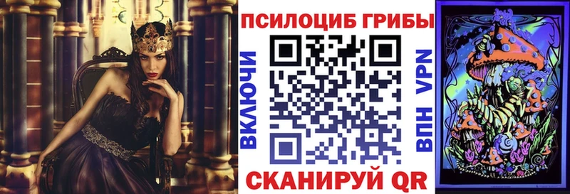 Галлюциногенные грибы прущие грибы  Красный Кут 